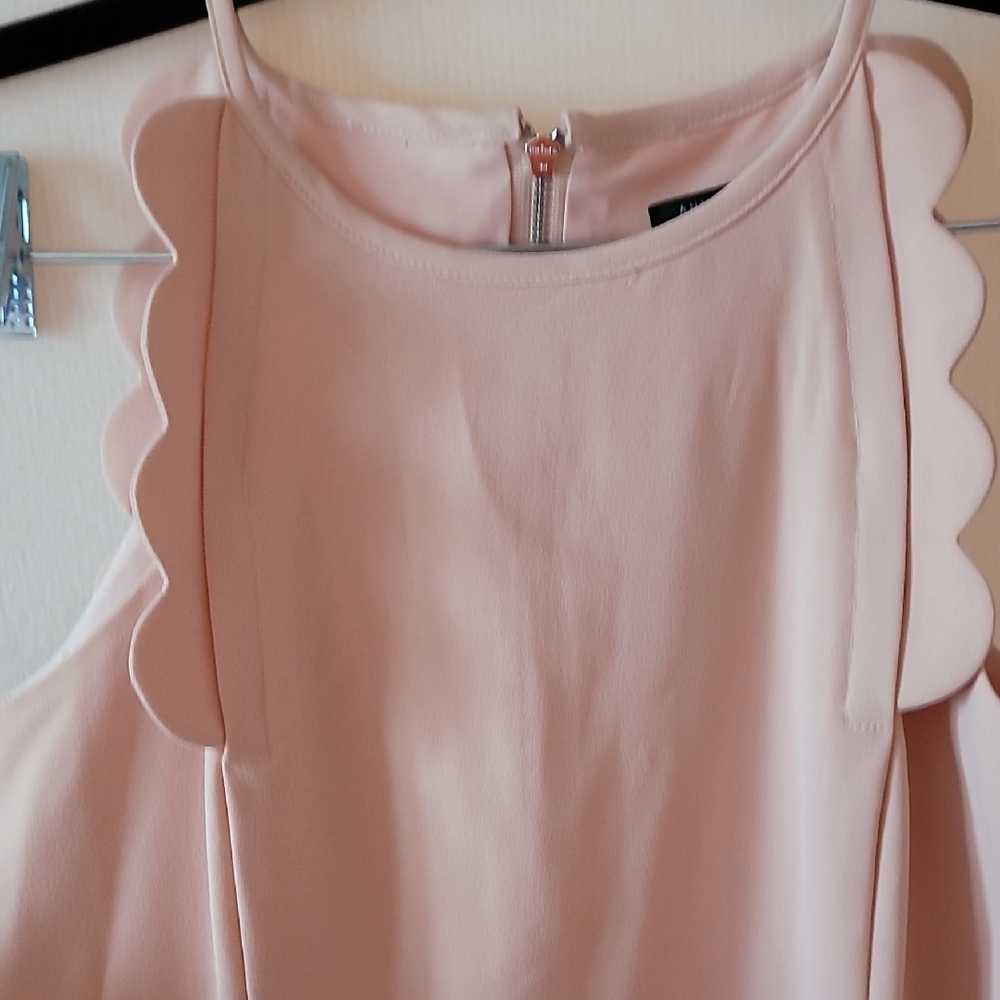 Ann Taylor Blush Scalloped Mini Dress - Picture 6 of 6